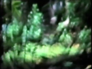 Johnny Crawl | movie | 1987 | Official Clip