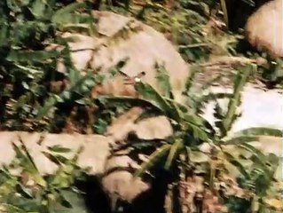 Dead Birds | movie | 1963 | Official Clip