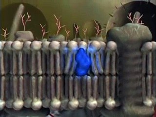 Voyage Inside the Cell | movie | 1999 | Official Clip