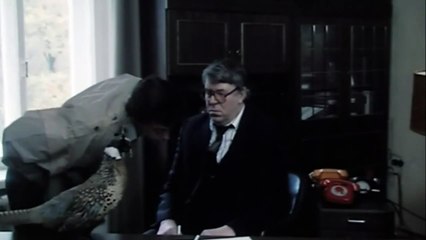 Мисс миллионерша | movie | 1988 | Official Clip