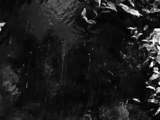 The Noise | movie | 2022 | Official Clip