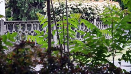 The Killers Part II | movie | 2013 | Official Clip