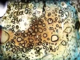 Memory | movie | 2007 | Official Clip