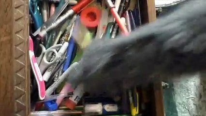 Home With The Pets | movie | 2021 | Official Clip