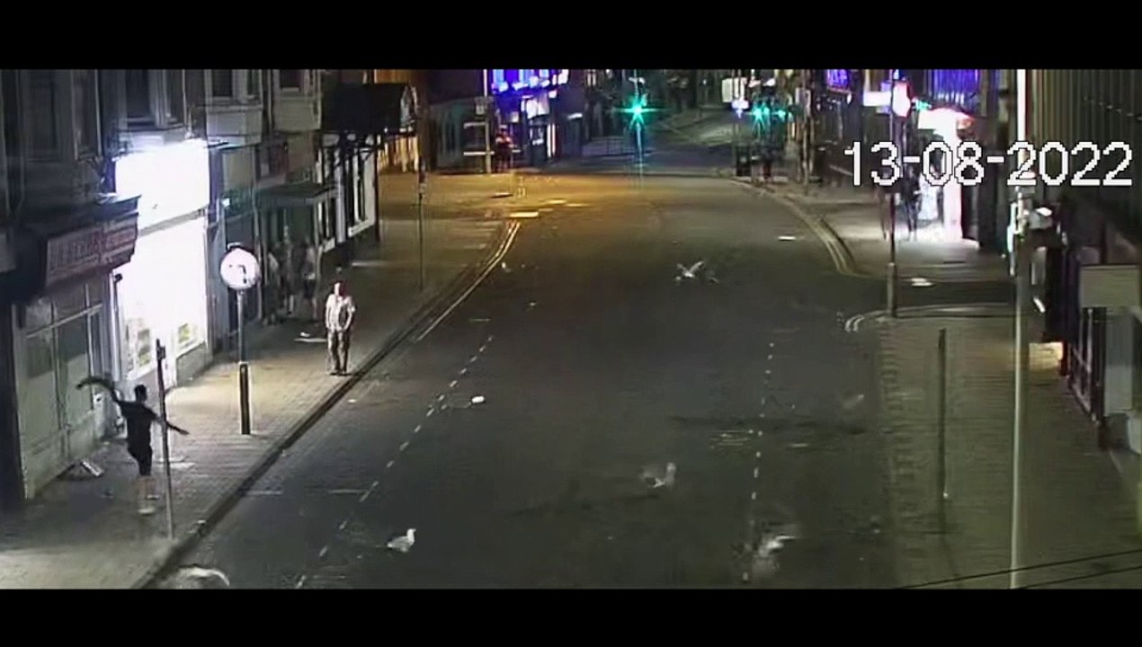 Herring Gull Attacked In Scarborough Vidéo Dailymotion