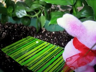 The Girl Bunnies | movie | 2008 | Official Clip