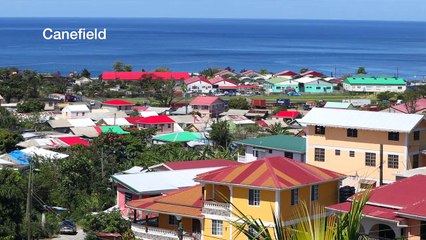 The Last Turtle | movie | 2019 | Official Clip