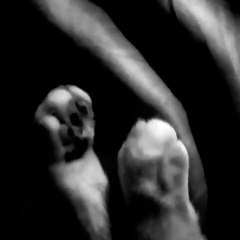 sink | movie | 2020 | Official Clip