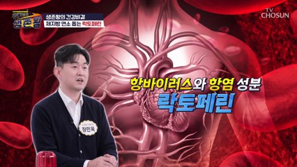 식약처에서도 체지방 감소 기능성 인정한 〔●●●●〕 TV CHOSUN 230207 방송