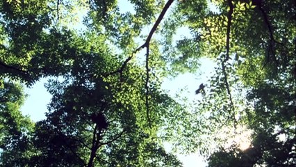 The World According to Koreeda Hirokazu | movie | 2013 | Official Clip