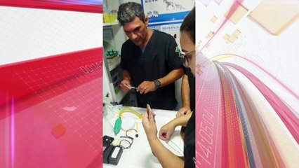 Jiboia passa por endoscopia após problemas alimentares; assista