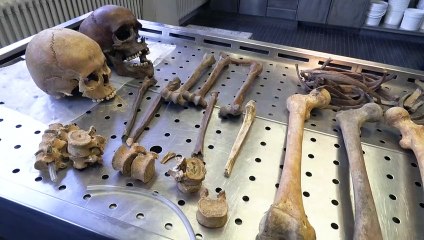 Deux siècles après la bataille, l'énigme des ossements de Waterloo