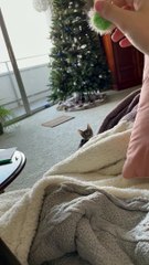 Baby Yuna Plays Fetch