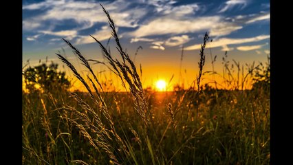 A True Story _ Swami Rama Tirtha _ Badshah Ram's six orders _ Discourse English _