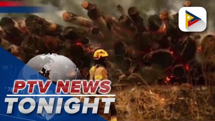 Forest fires kill at least 26 in Chile