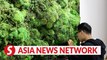 Vietnam News | Artwork made from moss