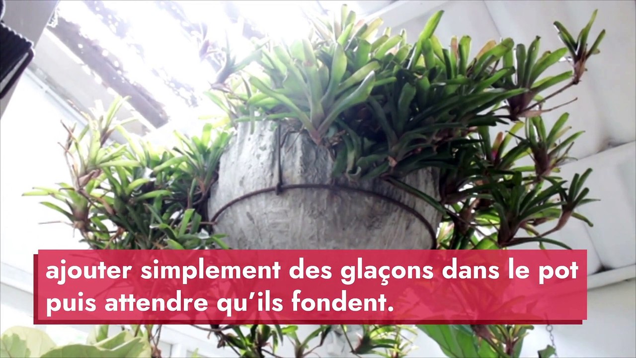 Beauté, cuisine, pratique : les astuces magiques avec des glaçons