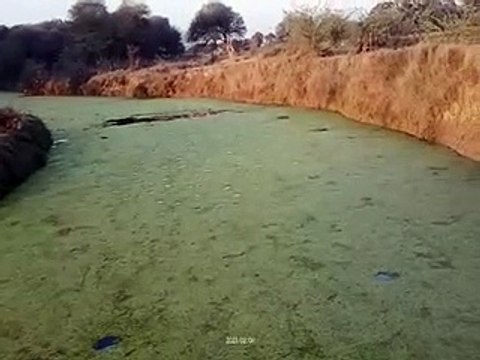 फ्लड मिटीगेशन स्कीम के दूसरे चरण में होंगे 70 करोड़ के कार्य