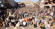 Cette photo de groupe impressionnante montre le rassemblement de 1 000 Golden Retrievers réunis dans une ville