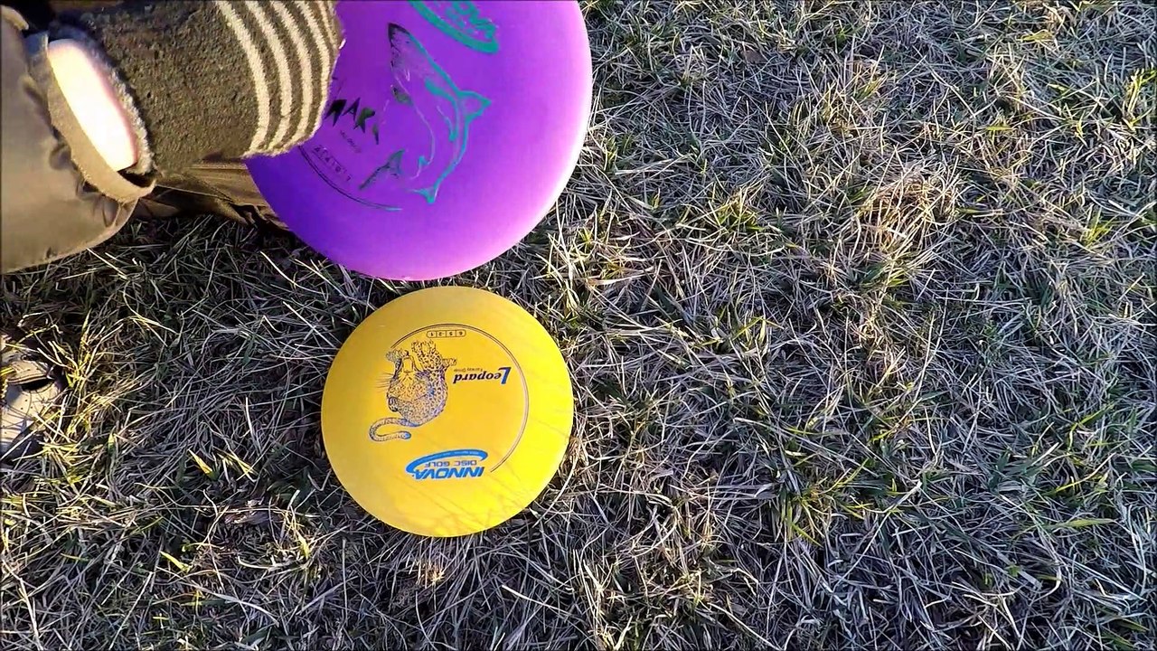 Frisbee Golf