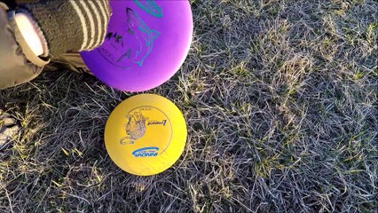 Frisbee Golf