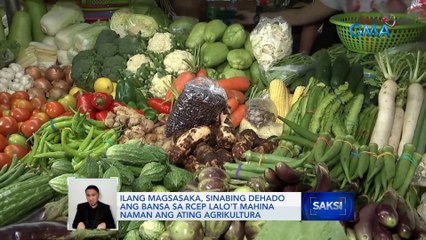 Ilang magsasaka, sinabing dehado ang bansa sa RCEP lalo't mahina naman ang ating agrikultura | Saksi