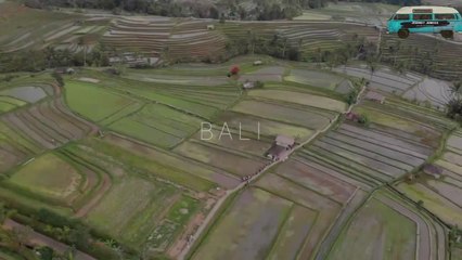 Bali Indonesia - Best Things to do
