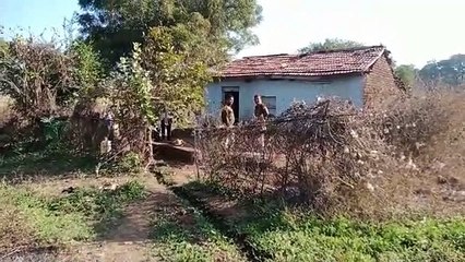 Chilli hit by the husband killed the wife