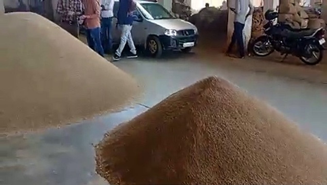जीरा मंदा, ग्वार-गम समान, सोना-चांदी िस्थर