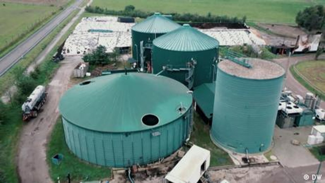 How clean is biomass?