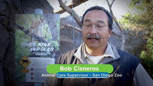 Animal Welfare Is The Top Priority at These Specific Zoo Exhibits