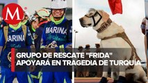En playeras, Frida acompañará a rescatistas de Semar a Turquía