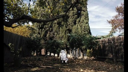 Spoonful of Sugar - Official Trailer