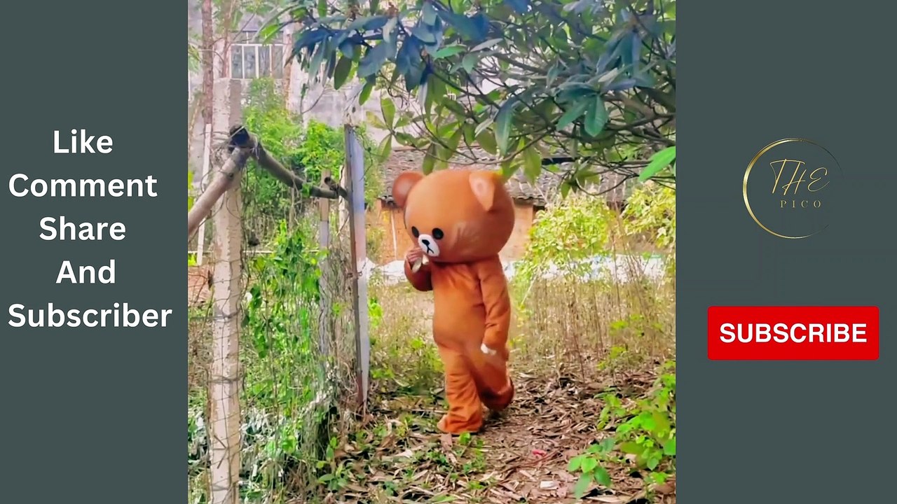 Funny Video - like and subscriber(4)