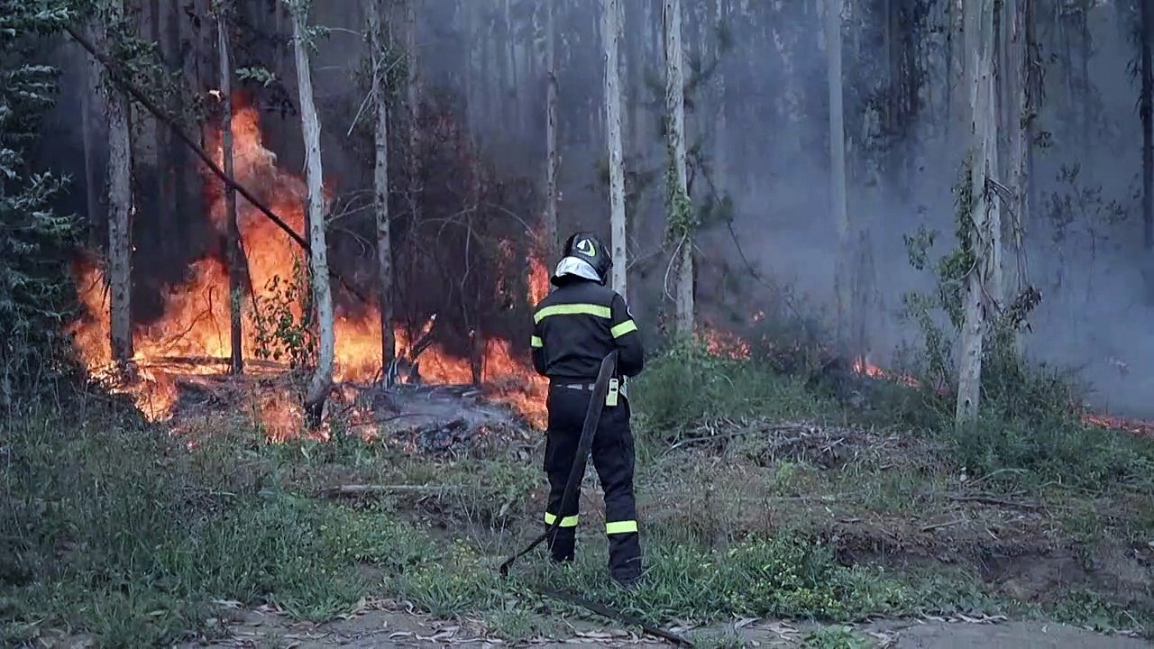 Más de 3.400 bomberos voluntarios combaten los...