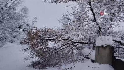 Varto'da 99 köy ve 50 mezranın yolu kar yağışı nedeniyle ulaşıma kapandı