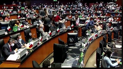 ¡Senadora de morena pide rechazar tajantemente la firma del PRIAN de la indignante 'Carta de Madrid' del partido VOX!