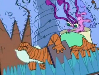 King (2003) King (2003) S01 E026 The Accordion of Doom