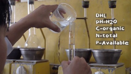 Uji Sampel Tanah untuk Regenerative Agriculture Project | IIF #VLOG