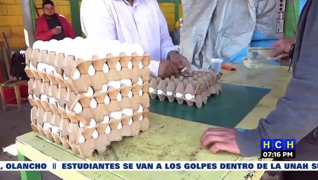 Gobierno y Avicultores fijan en L130 precio del Cartón de Huevos