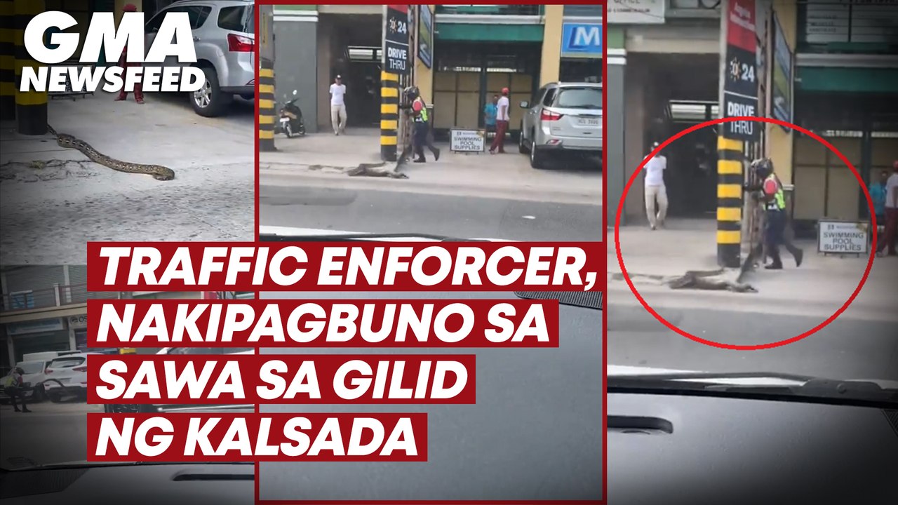 Traffic enforcer, nakipagbuno sa sawa sa gilid ng kalsada | GMA News Feed