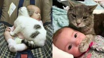 FUNNY CAT VIDEOS WITH BABIES AND KIDS