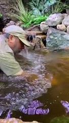 Snaptik.app_7165123984806202670