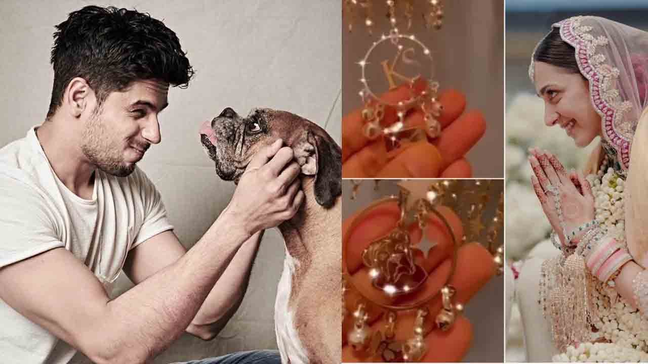Kiara-Sidharth Wedding: कियारा के कलीरों में छुपी कपल की लव स्टोरी, Pet Dog Oscar का तगड़ा कनेक्शन