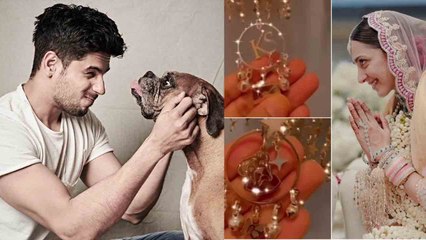 Kiara-Sidharth Wedding: कियारा के कलीरों में छुपी कपल की लव स्टोरी, Pet Dog Oscar का तगड़ा कनेक्शन