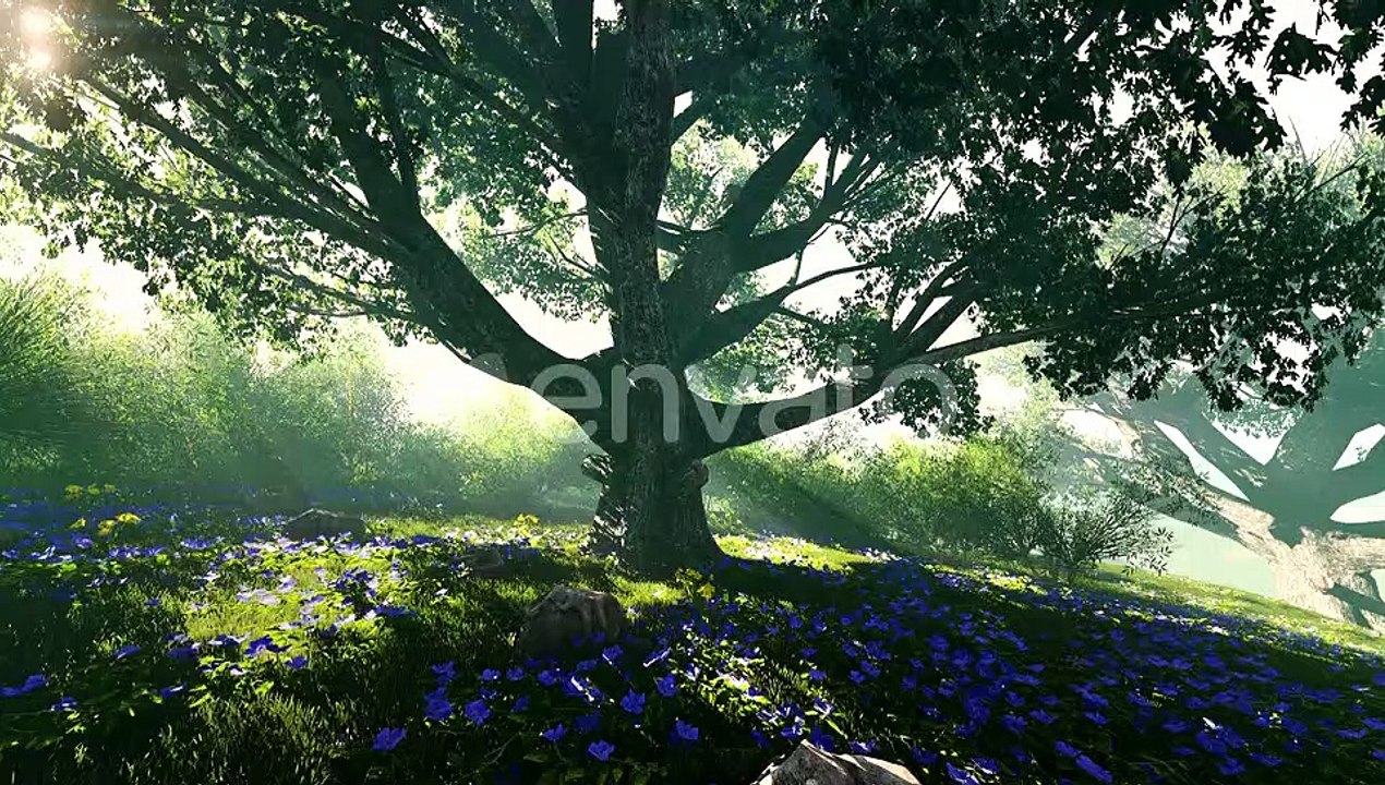 video_preview_h264 (1)
