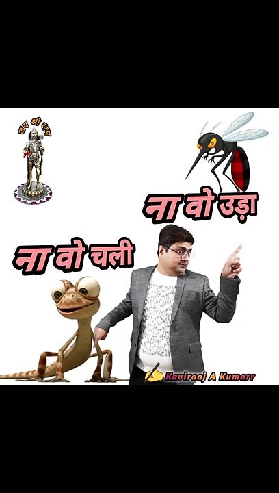 Mosquito & Lizard