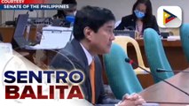 Imbestigasyon ng Senado sa pagkamatay ng OFW na si Jullebee Ranara sa Kuwait, nagsimula na