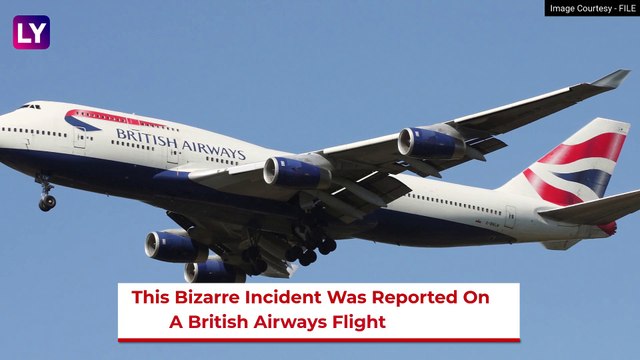 Viral: Man Pays Extra Money For Window Seat On British Airways Flight And Gets This Instead