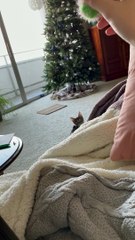 Baby Yuna Plays Fetch